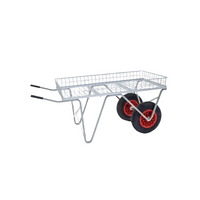 Small 2-Wheel Nursery Barrow