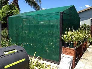 Guide to Growing Vegetables in a Shade House image