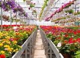 Greenhouse Benches Selection Guide – 5 vital types to know image