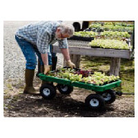 4 Vital things to know about a plant trolley image