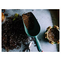Ultimate guide in choosing the best potting mix image