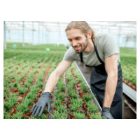 Why and How to Improve Nursery Potting Production Efficiency? image